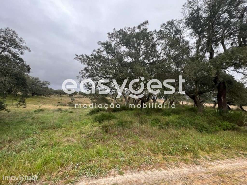 Terreno com 20.654 m2, localizado na Asseiceira, Poceirão - Grande imagem: 3/4