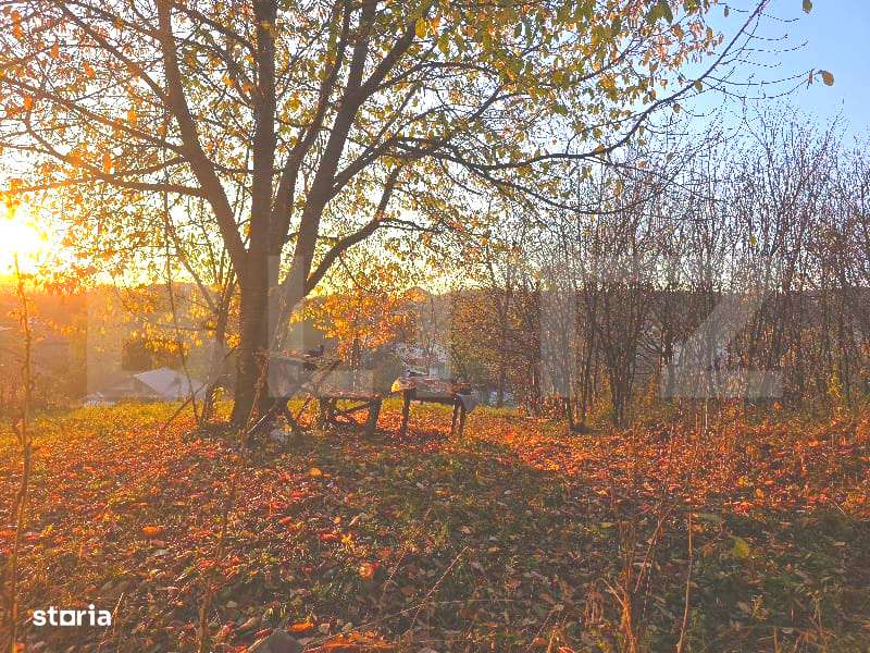 Teren cu vedere panoramica, 32 m deschidere la strada – Valea Sasulu - Imagine principală: 2/5