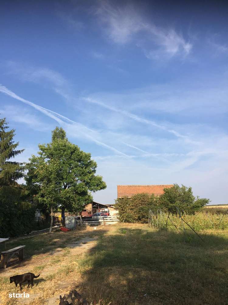 De Vanzare – Ferma de Pomi Fructiferi, 48,8 ha, Iancu Jianu, Jud. Olt - Imagine principală: 1/20