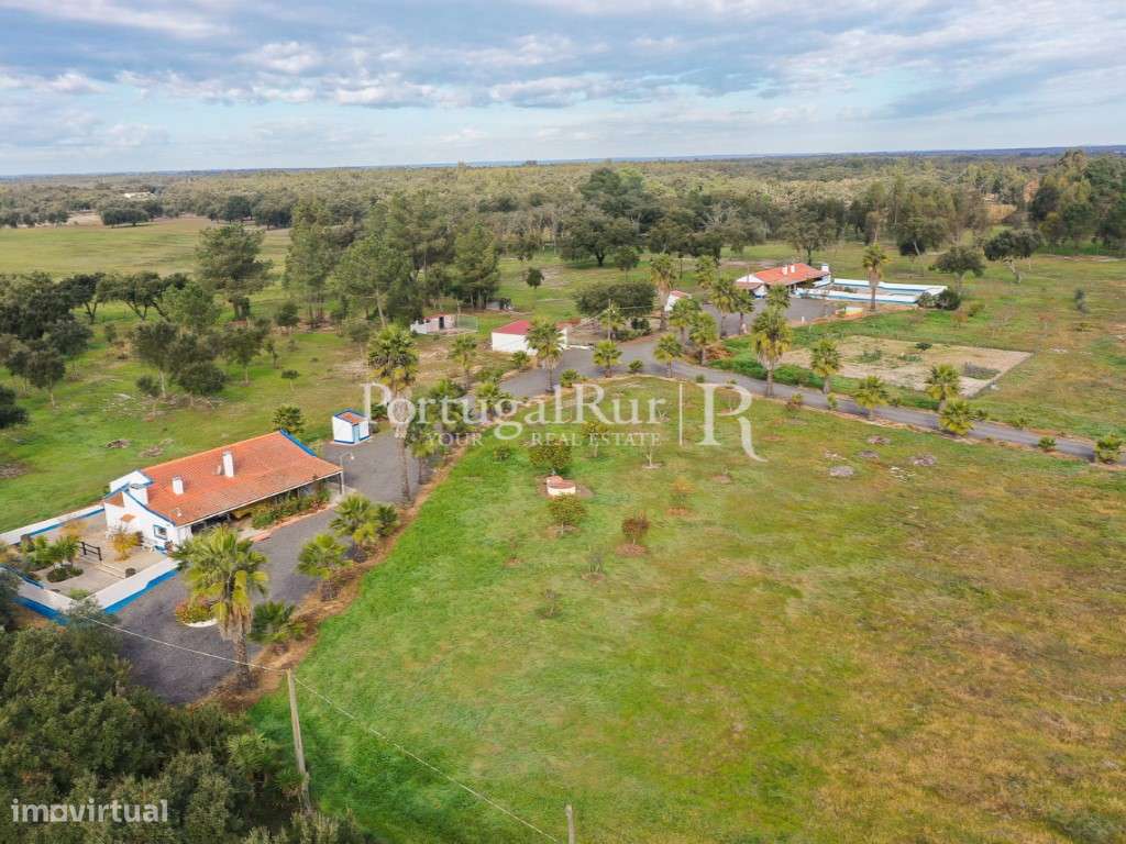 Quinta de 5 hectares, com 2 moradias e piscina-6