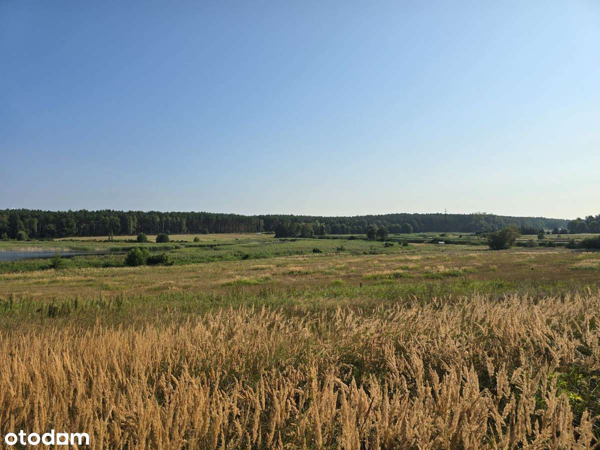 Uzbrojone działki budowlane przy stawach i łąkach, okazja!!!-4