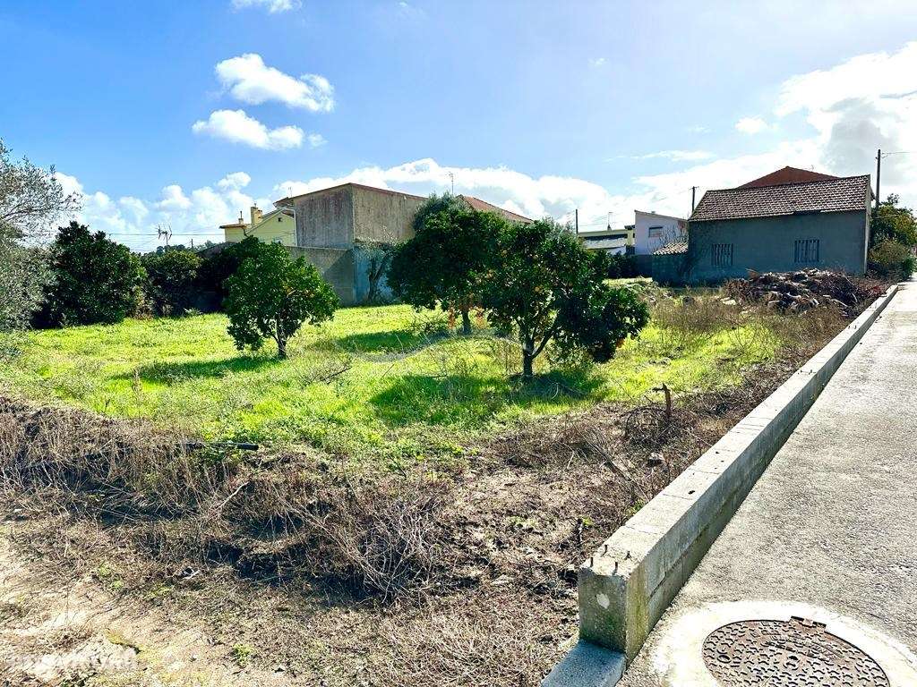 Terreno - Monte Real - Grande imagem: 2/12