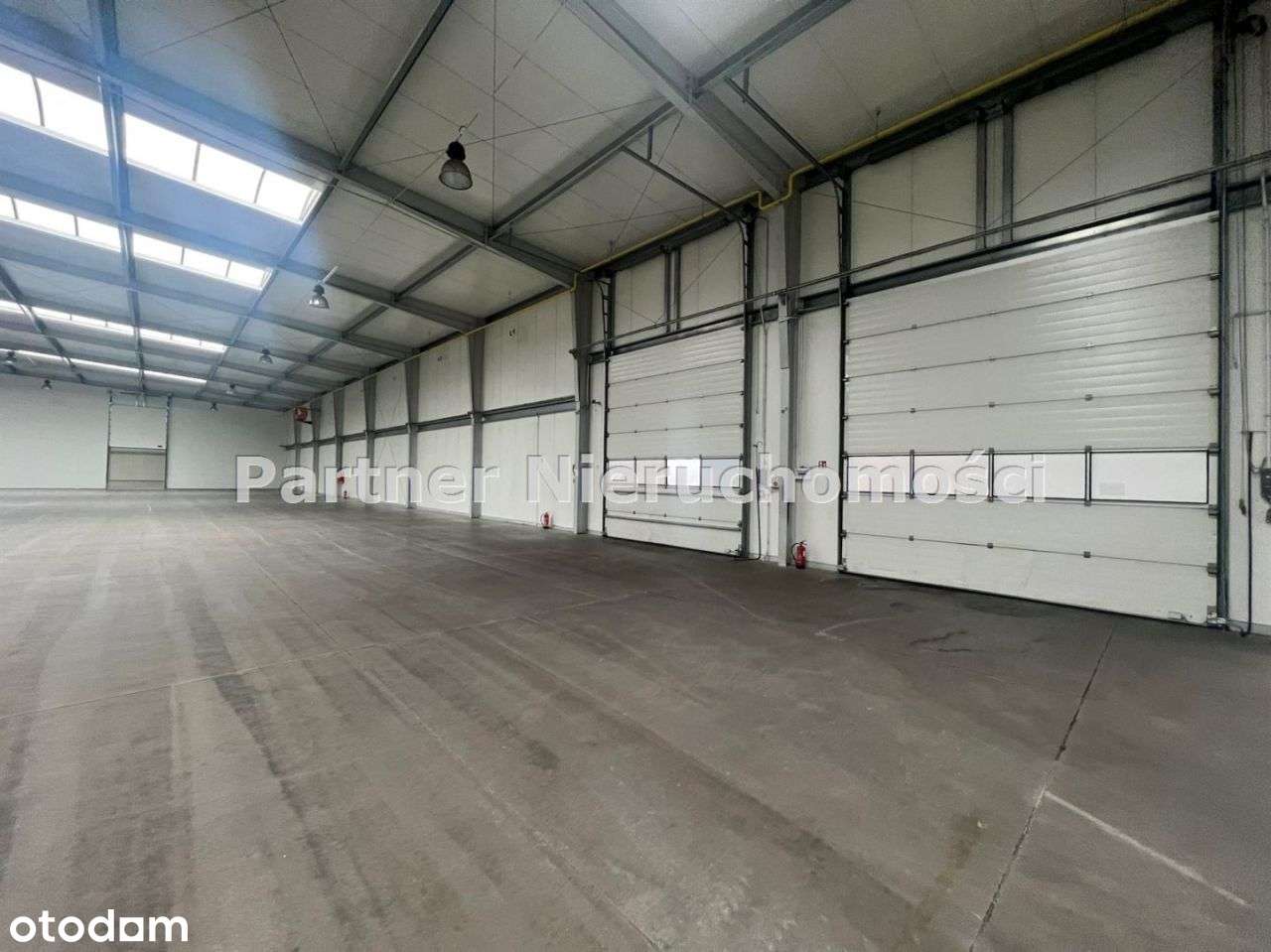 Hala - Magazyn 4100 M !!!! - Pełny obrazek: 5/7