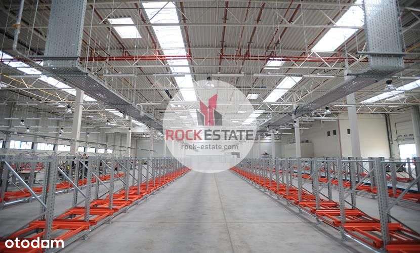 Magazyn na wynajem 2593m2 w Katowicach od zaraz - Pełny obrazek: 5/8