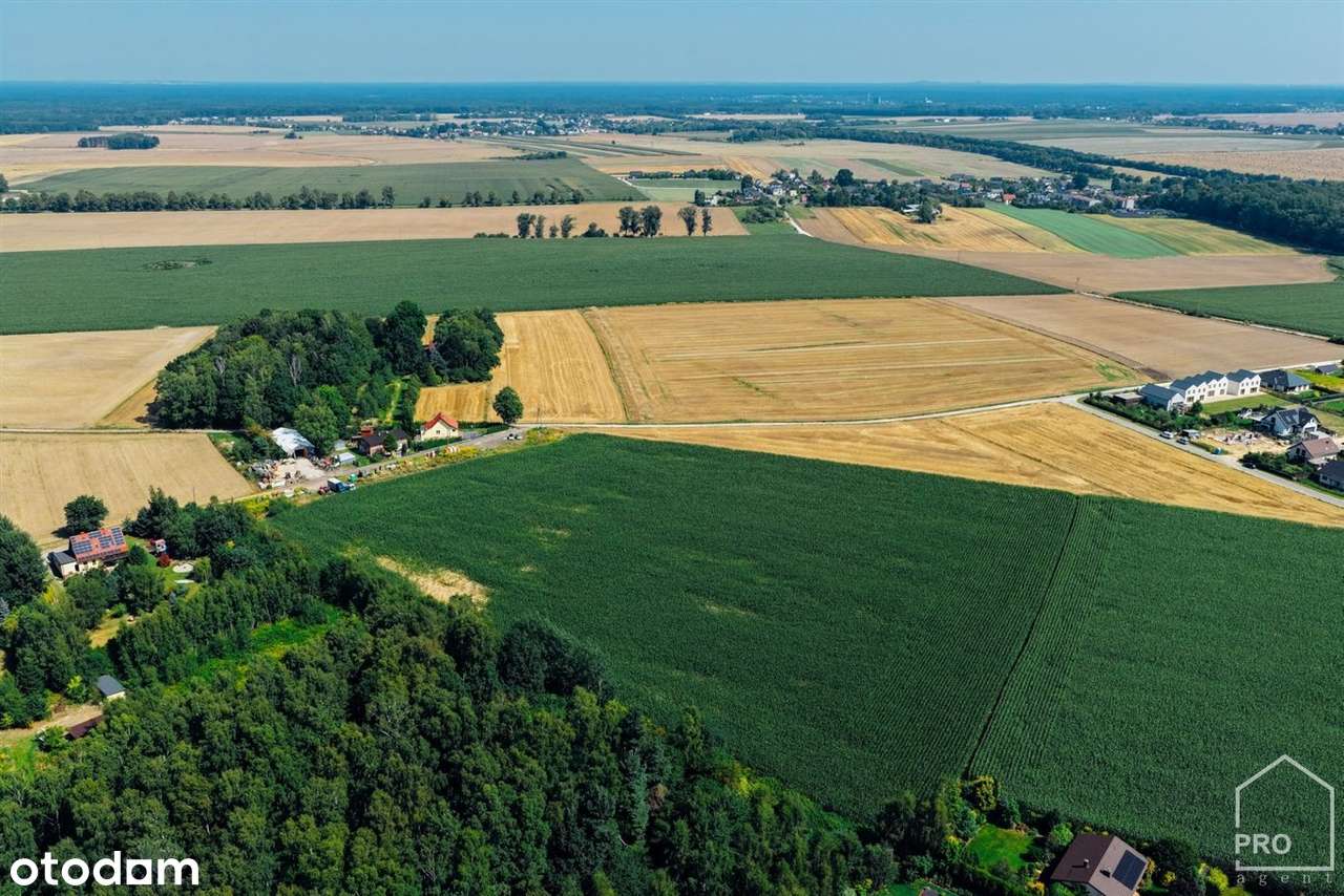 Działki na sprzedaż, powierzchnie od 626 do 813 m-4