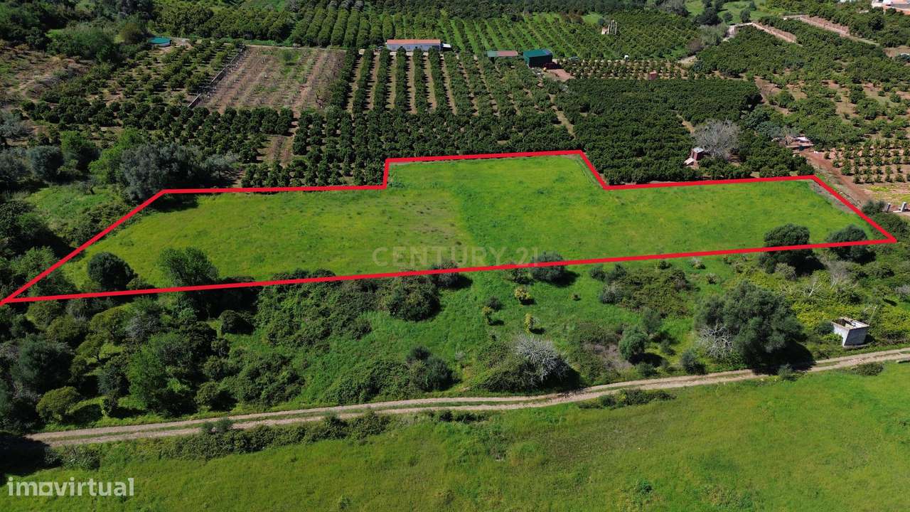 Conjunto dois terrenos rústicos confinantes - Grande imagem: 5/5