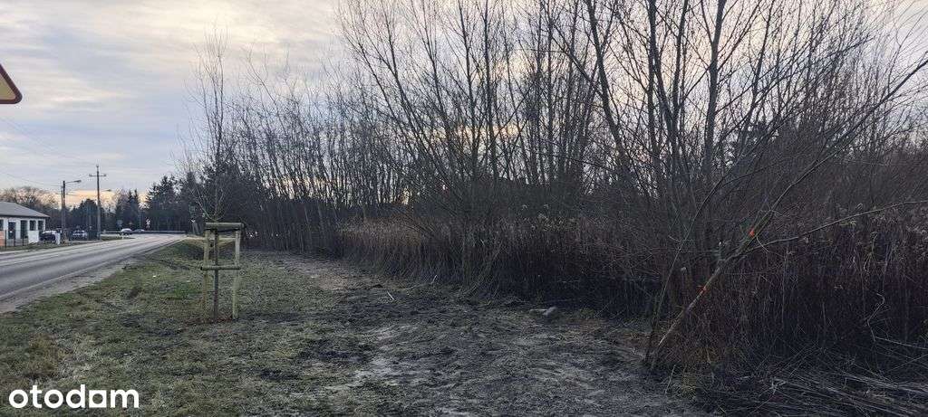 Wierzbin-działka przy szkole pod zab. bliźniaczą.-8