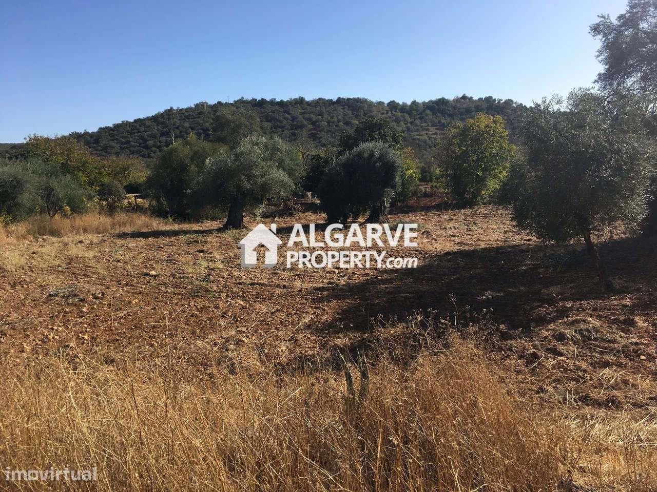 Quinta c/ ruina para renovar com vista de campo - Grande imagem: 4/13