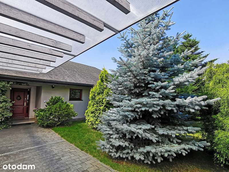 Parterowy dom w Wodzisławiu Śl. - Pełny obrazek: 3/20