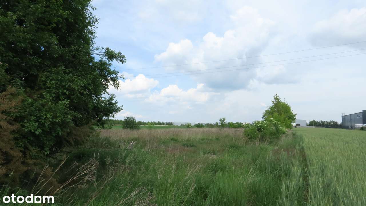 Atrakcyjne, duże działki – południowy Poznań, doskonała komunikacja-9