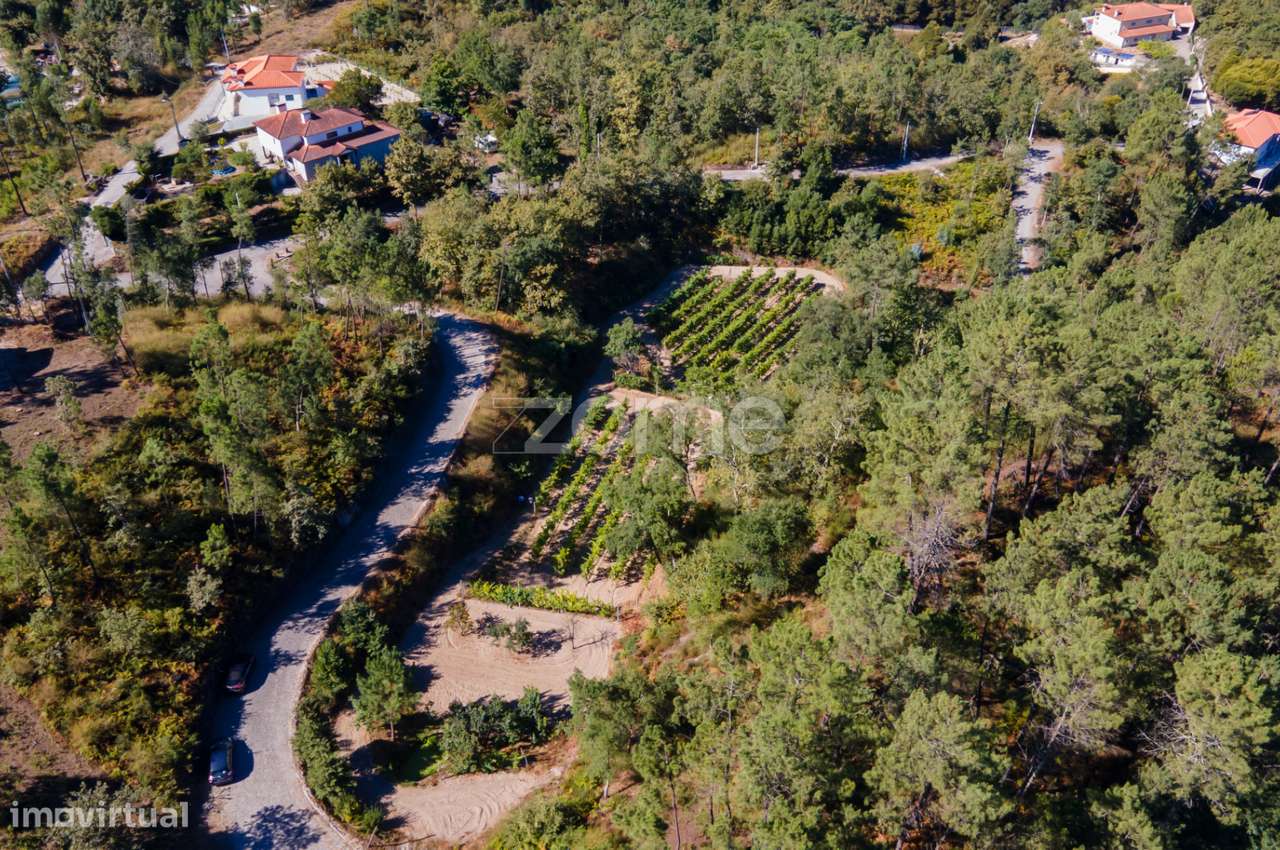 Terreno Rústico em Gatão, Amarante. - Grande imagem: 3/27