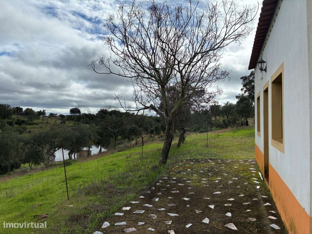 Quinta T2 em Serpa | Vista para a barragem-31