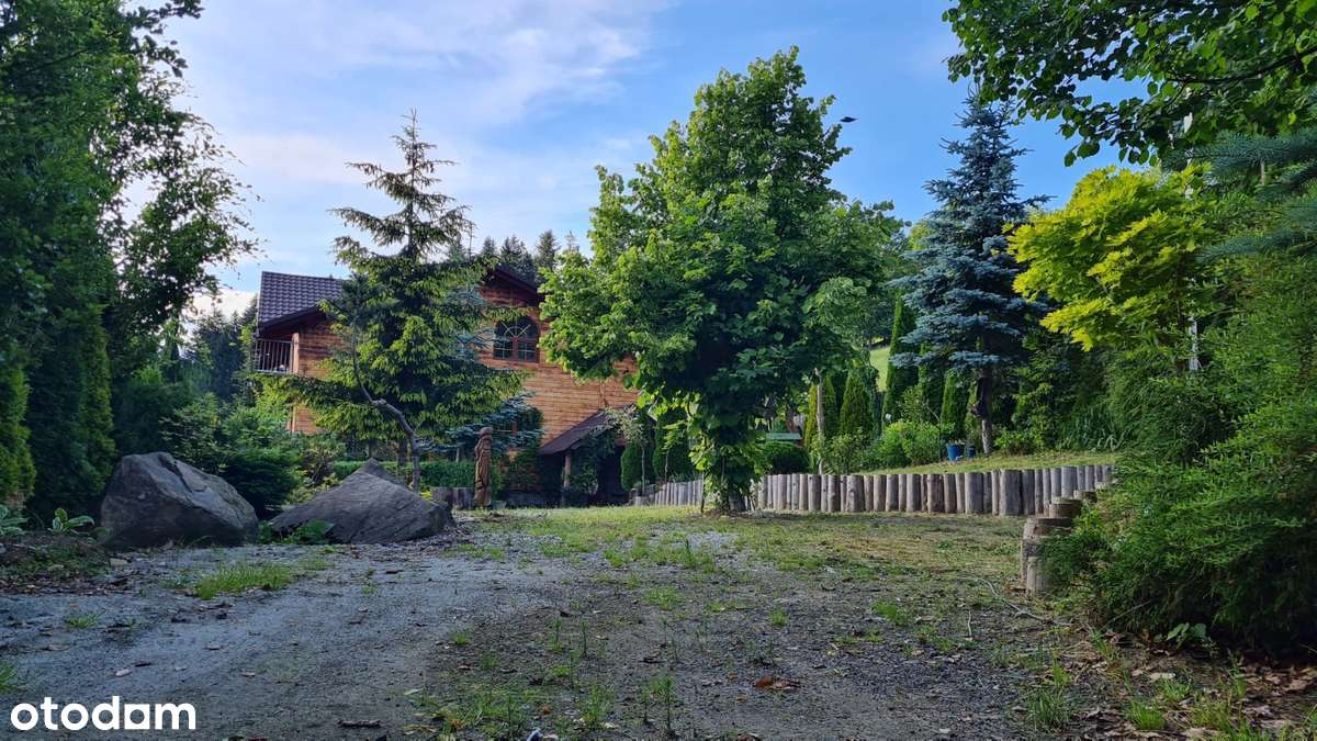 Dom w Złatnej wśród natury, daleko od głównej drogi. - Pełny obrazek: 3/18