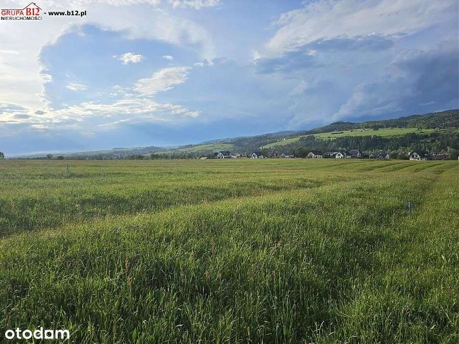 ładna działka w spokojnym miejscu - Pełny obrazek: 5/12