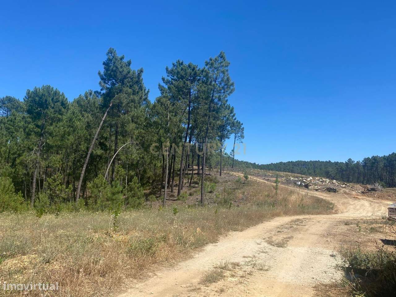 Casa de Campo na Lameirinha-31