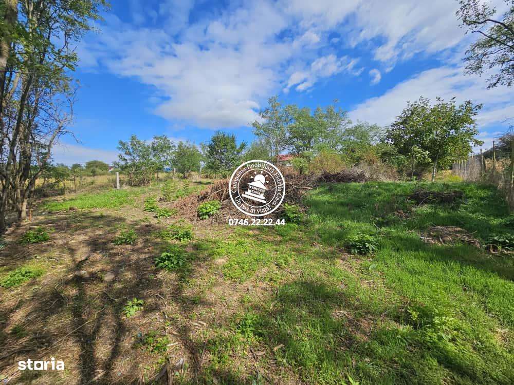 Teren intravilan 900 m , Aroneanu , 1km de la rond , langa padurice - Imagine principală: 3/6