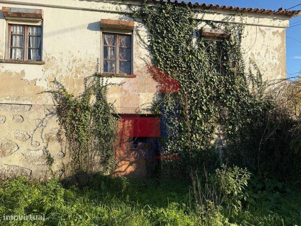 Quintinha, Poiares - Grande imagem: 5/31