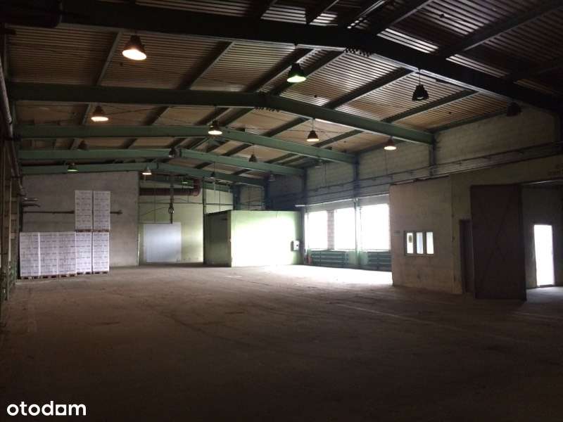 hale: 730m2, 930 m2, 185m2 i biura - bezpośrednio od właściciela - Pełny obrazek: 3/18