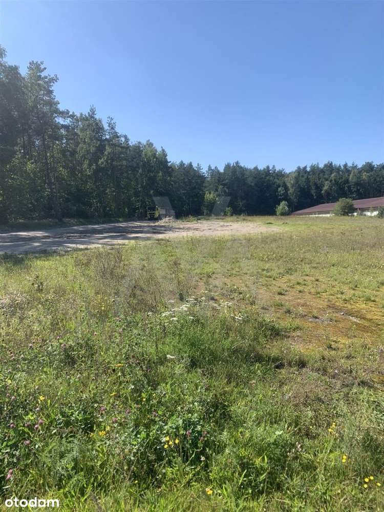 Szemud, działka przemysłowo-usługowa, 9763m2 - Pełny obrazek: 4/4