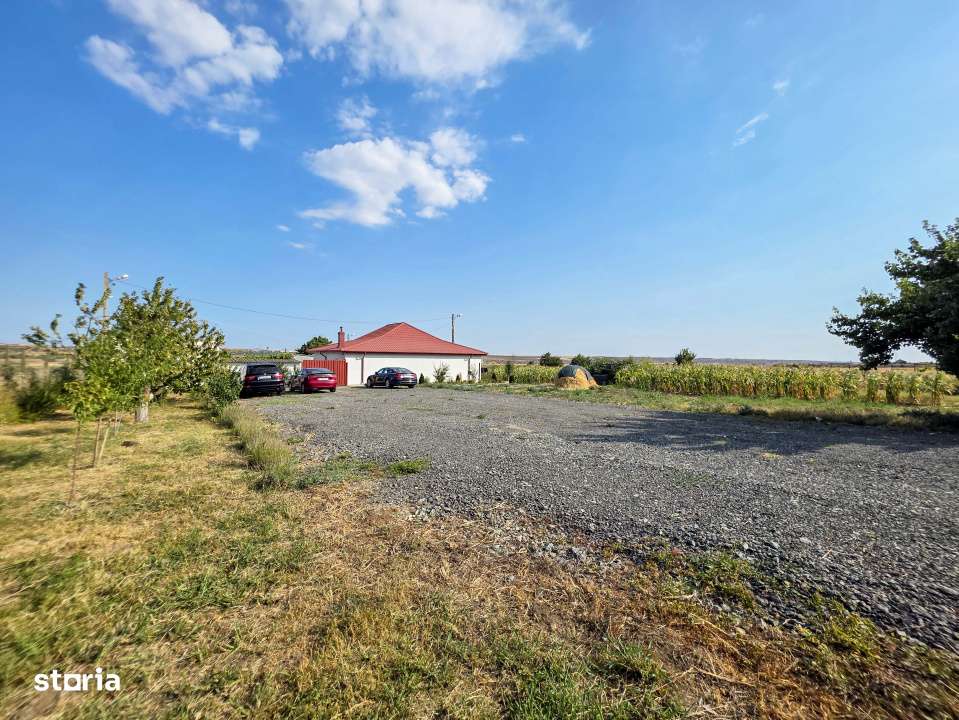 Ferma de vanzare – Oportunitate unica la doar 20 de minute de Consta - Imagine principală: 5/19