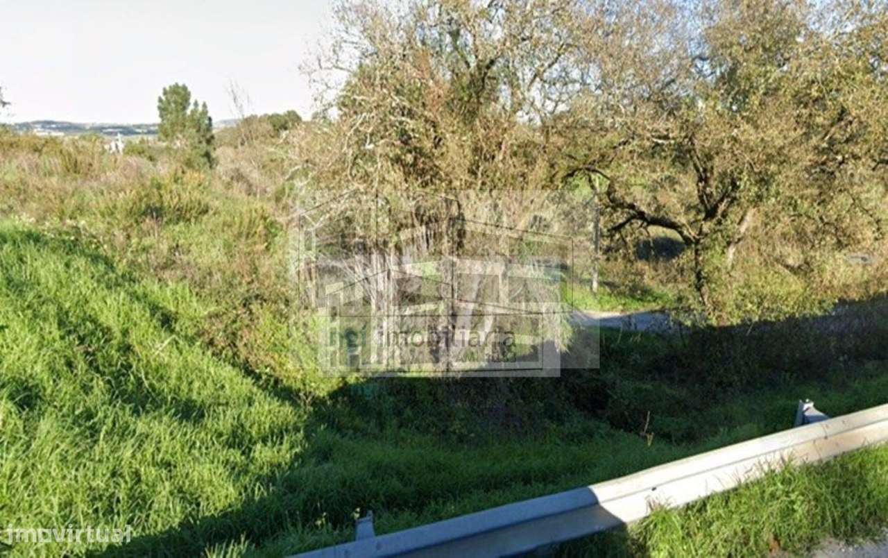 Terreno em Mafra - Grande imagem: 5/10