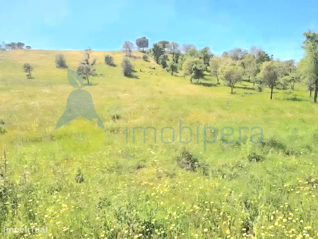 Terreno rústico com excelente localização, situado perto de S. Bart... - Grande imagem: 3/9