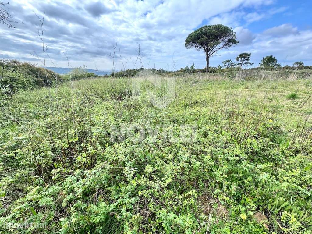 Moradia isolada T3 de cave e rés do chão próxima da Nazaré.-5