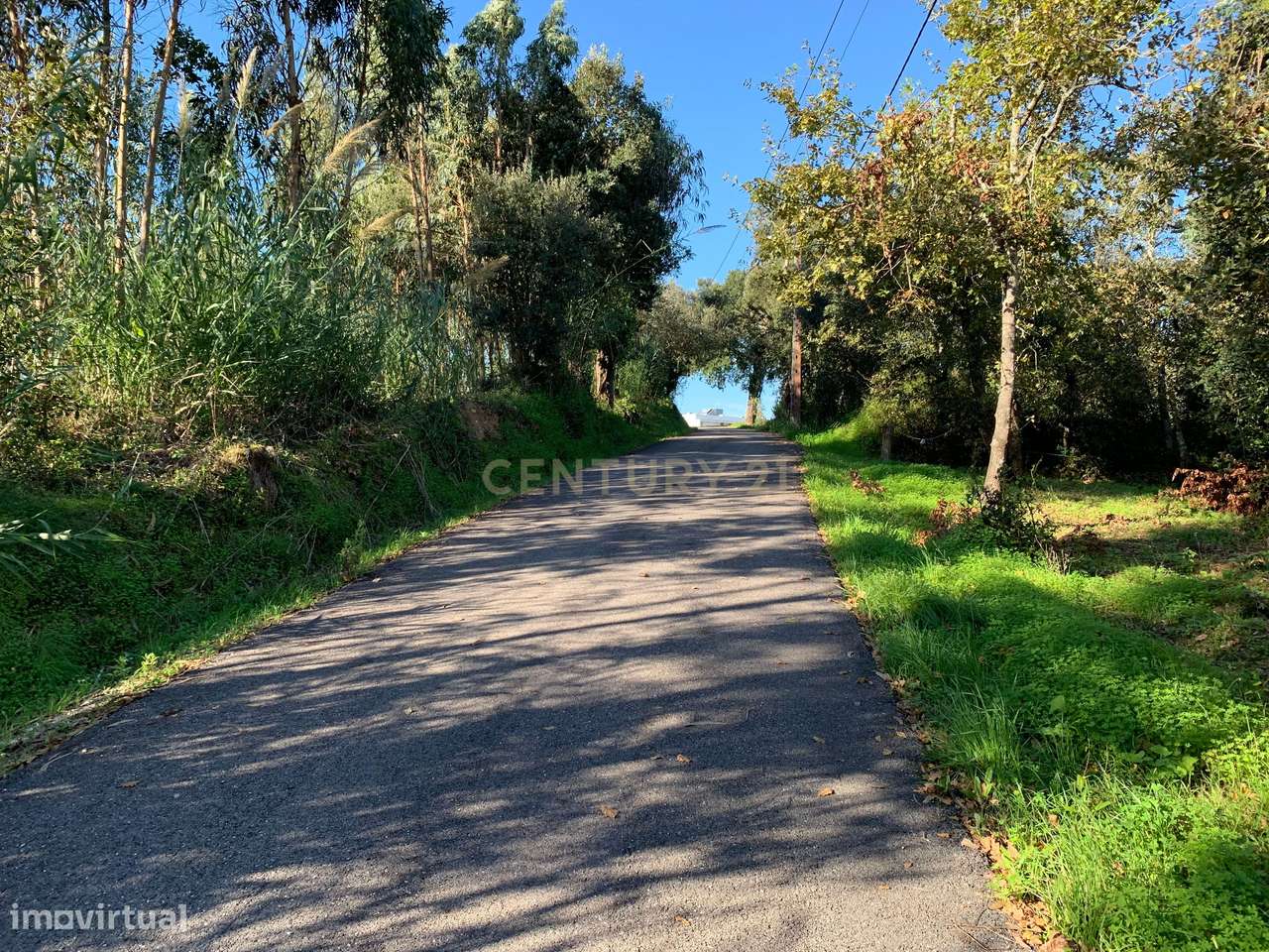 Terreno rústico com 1350m2, passível de construção - urbanização, nest - Grande imagem: 5/14