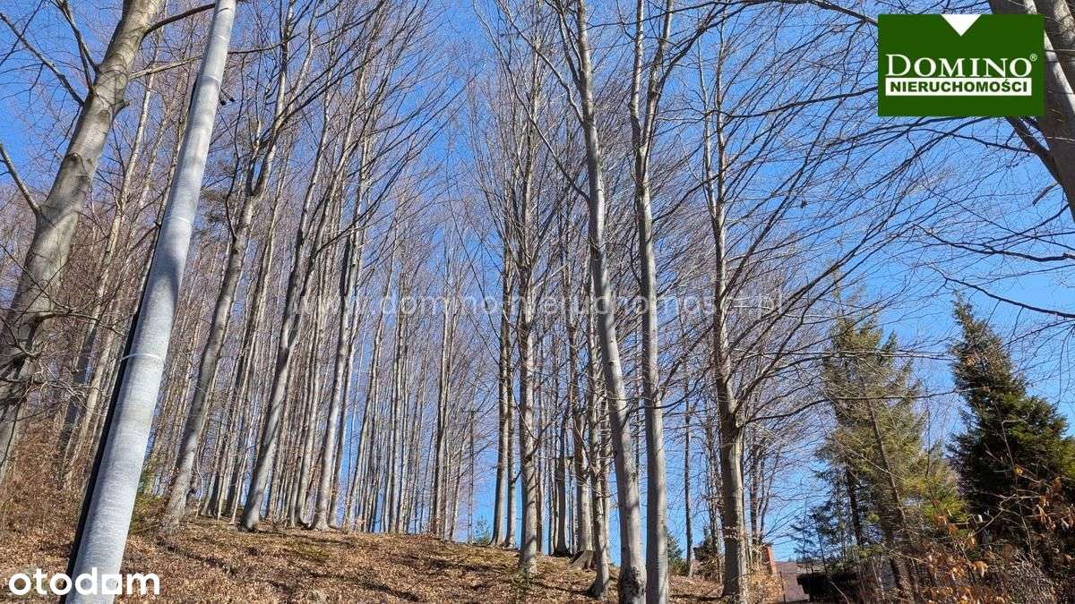 Wisła Willa - Pełny obrazek: 5/20