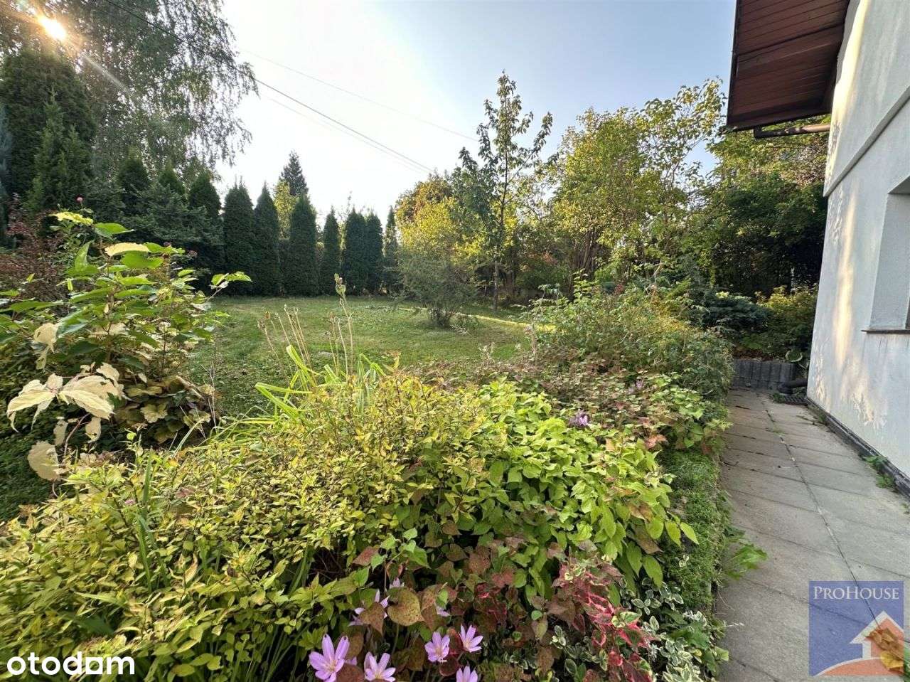 Dom, 130 m², Młynne-17