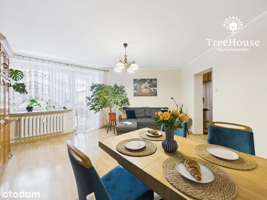 3-pokojowe mieszkanie w sercu Jarot - Pełny obrazek: 2/19