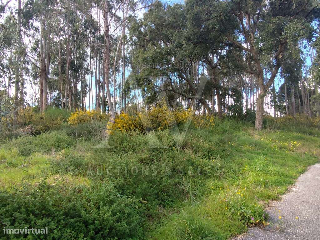 Terreno de 12.882 m2 Brogal, Parceiros, Leiria - Grande imagem: 3/8