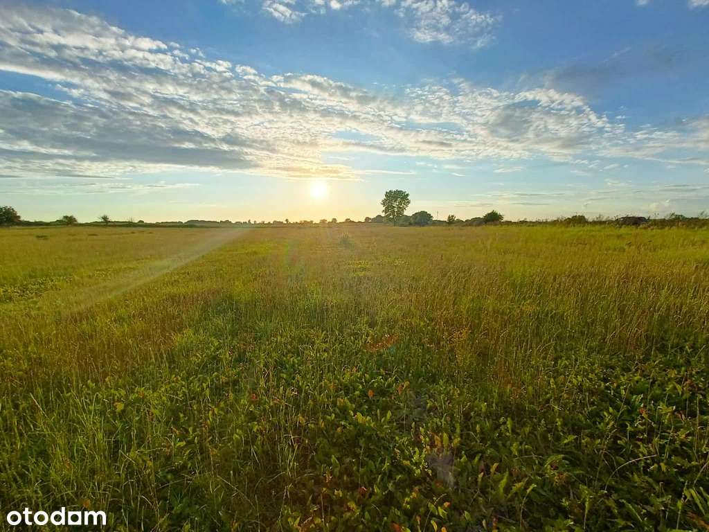 Działka z przyszłością – idealna inwestycja! - Pełny obrazek: 4/20