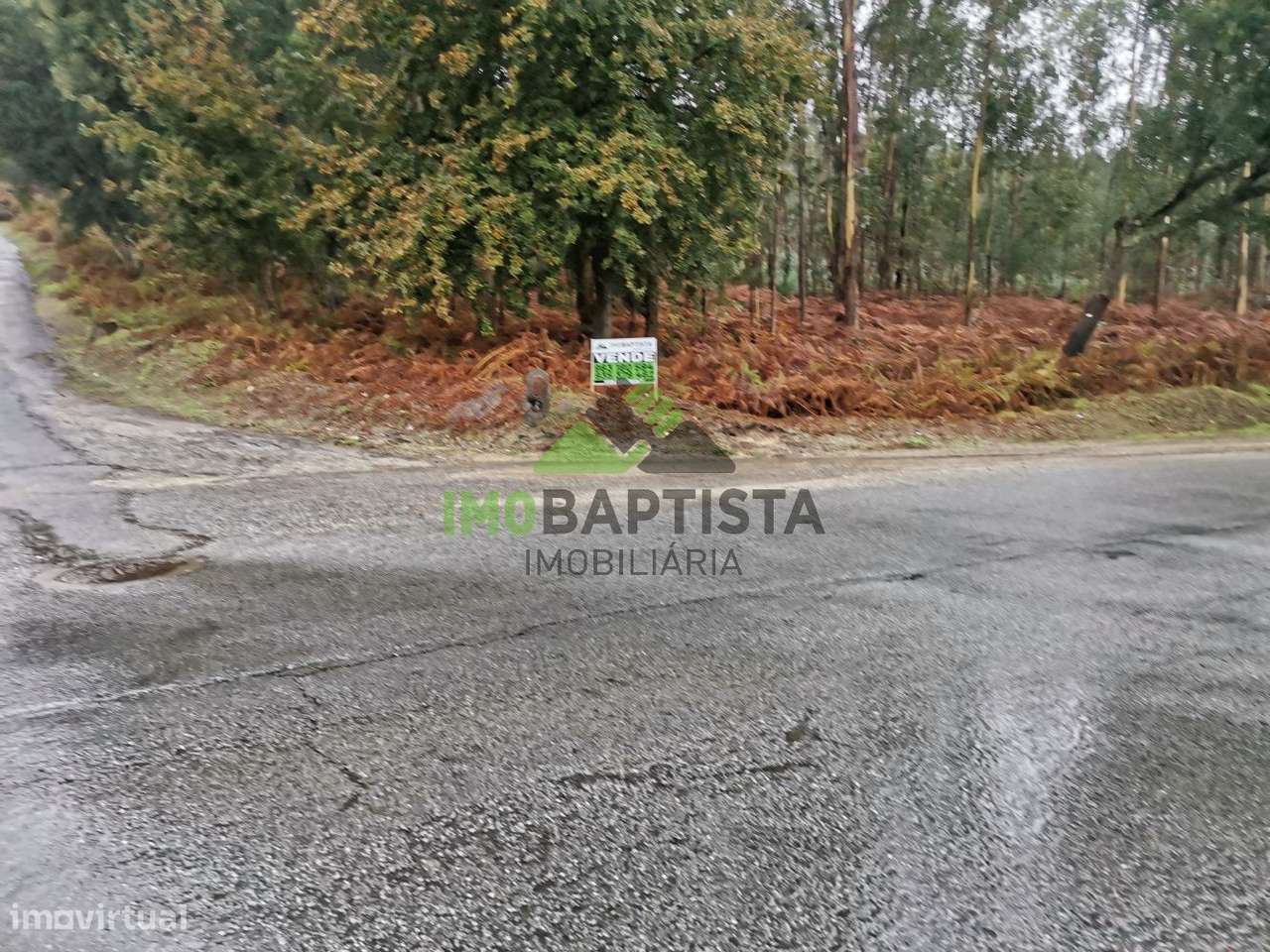 Terreno c/ 6100 m2 nas Caldas de S. Jorge - Grande imagem: 3/11