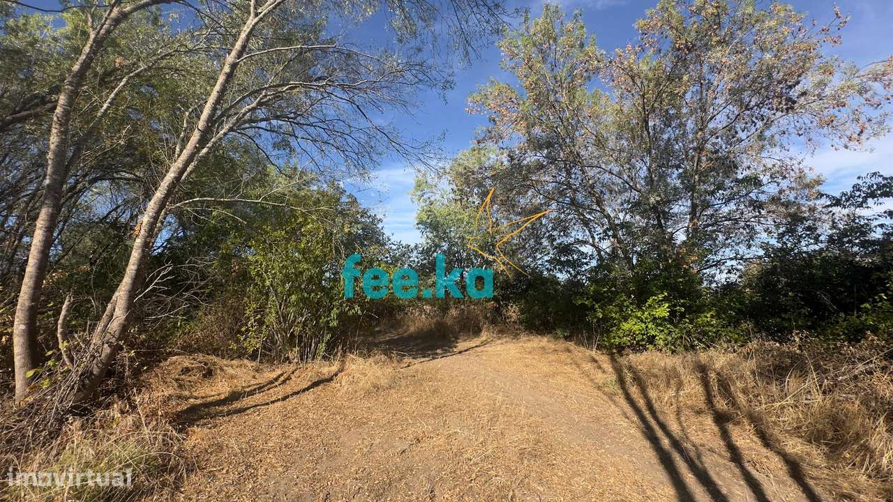 Terreno em Ladoeiro-29