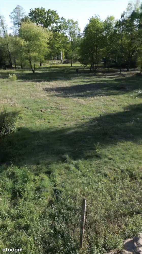 Działka 2961 m2 pozwolenie na budowę z własną linią brzegową  - Mienia