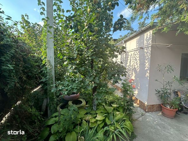 Casa si teren zona teatrul Maior Gheorghe Pastia, Focsani, jud Vrancea-5