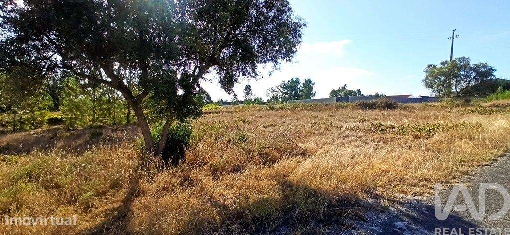 Terreno para construção em Coruche, Fajarda e Erra de 501,00 m2 - Grande imagem: 5/9