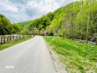 Teren de vanzare Valea Lotrioarei 1923 mp cu deschidere la rau