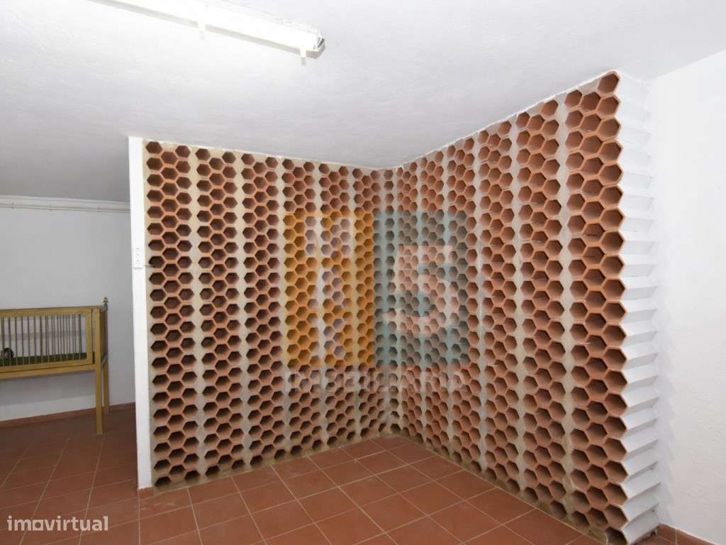 Quinta com 4.880 m2 - Alpiarça-47