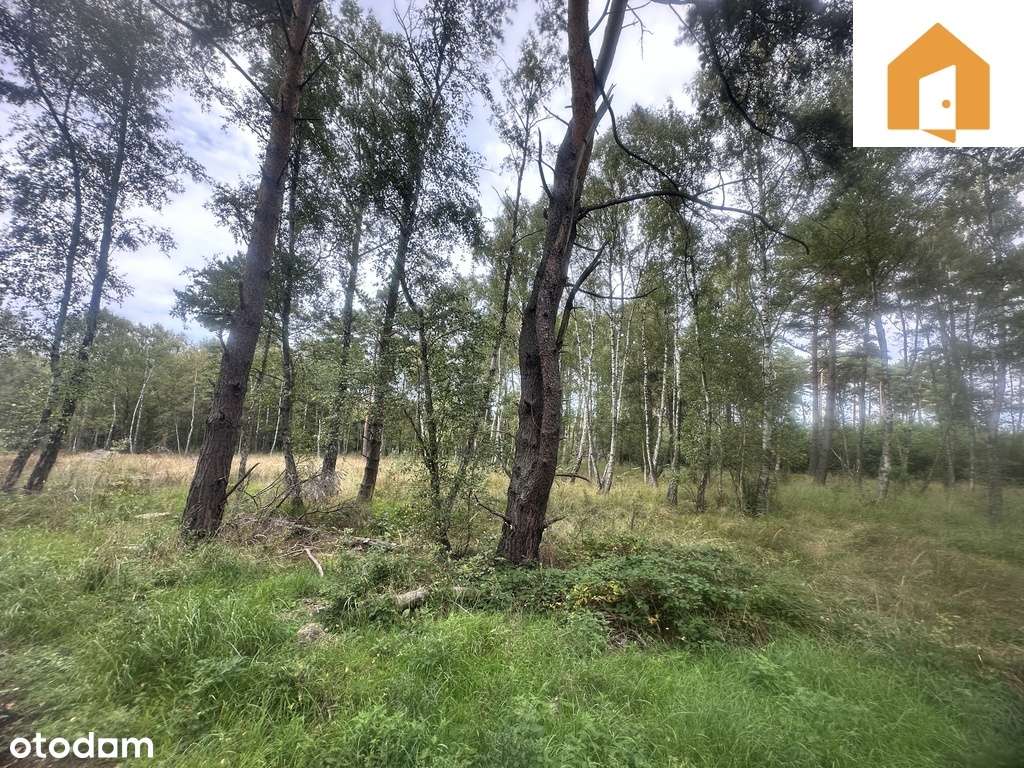 Działka w Międzywodziu na sprzedaż - Pełny obrazek: 5/11