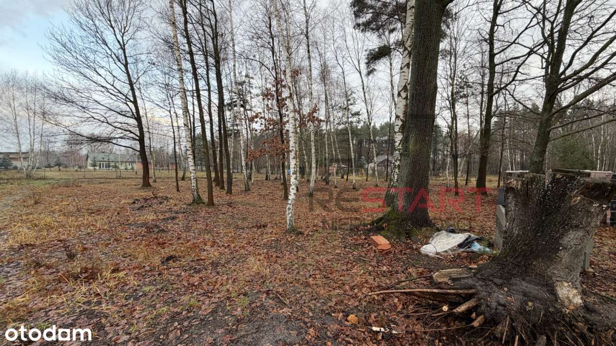 Bliżniak w miejscowości Podlasie gm. Radziejowice!-5