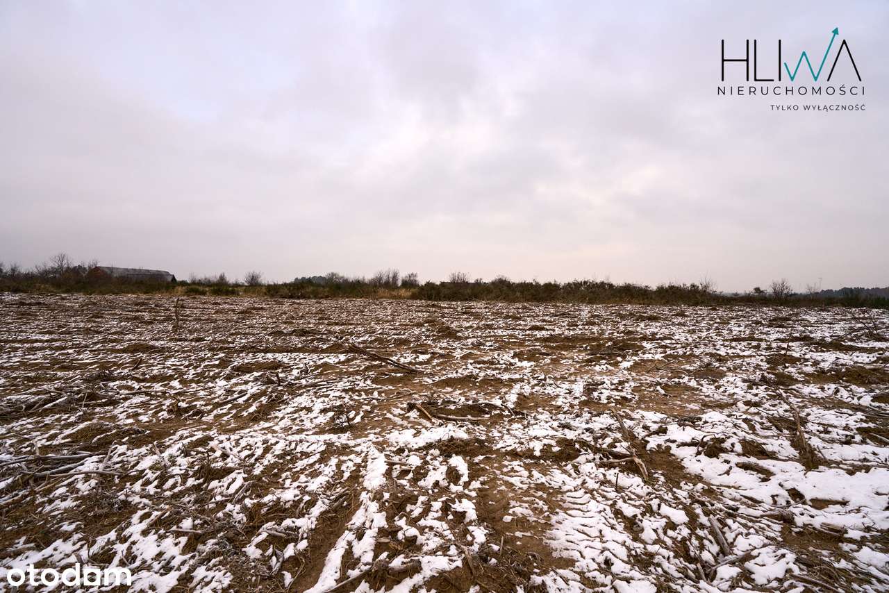 Działka zagrodowa Mierzyno gm. Gniewino 3011 m2-14