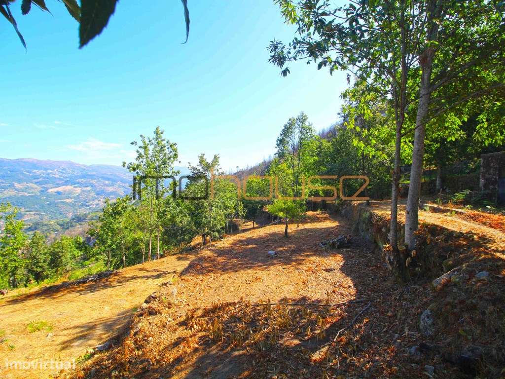 Quinta de 2ha com vista panorâmica - Freigil-10