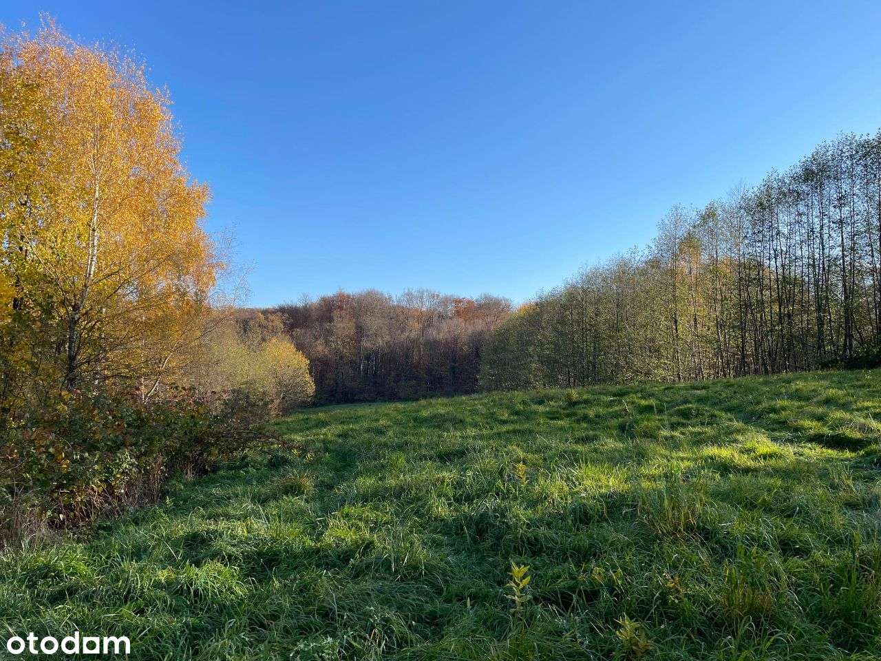 Działka o pow.1 ha - ul. Św.Marcina - Okazja! - Pełny obrazek: 3/13