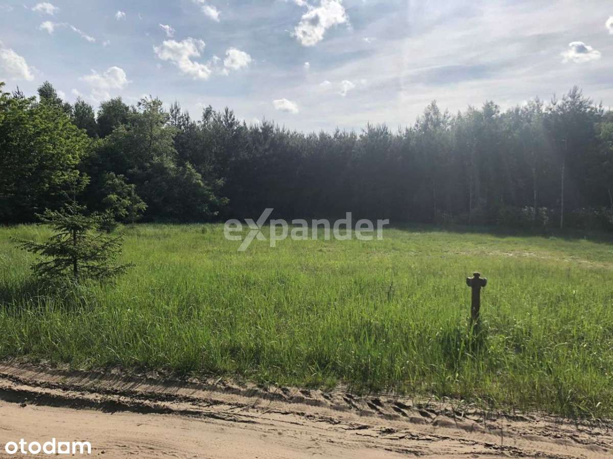 Unikatowa działka w otulinie lasu – Rożenno, gm. B - Pełny obrazek: 4/4
