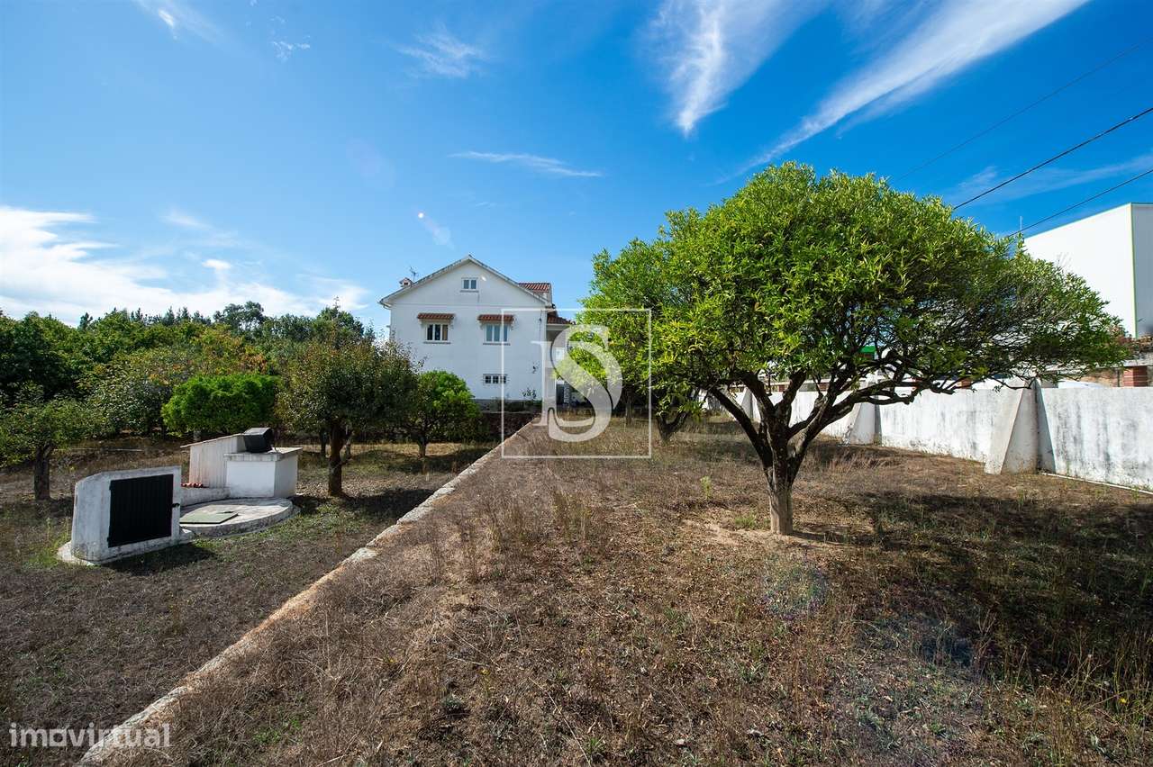 Quinta T6 Venda em Santa Comba Dão e Couto do Mosteiro,Santa Comba Dão-51