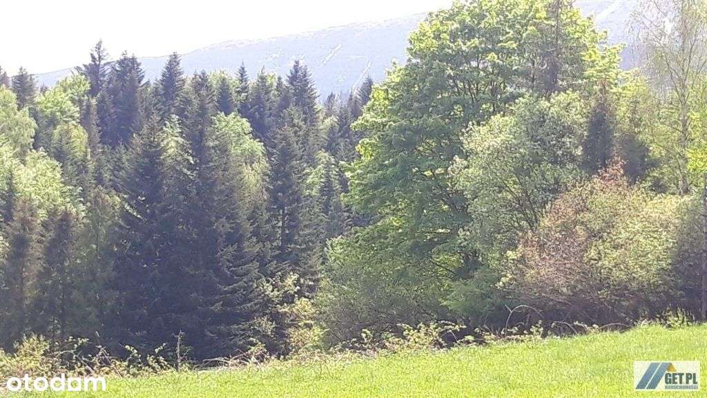 działka u stóp Babiej Góry. - Pełny obrazek: 4/5