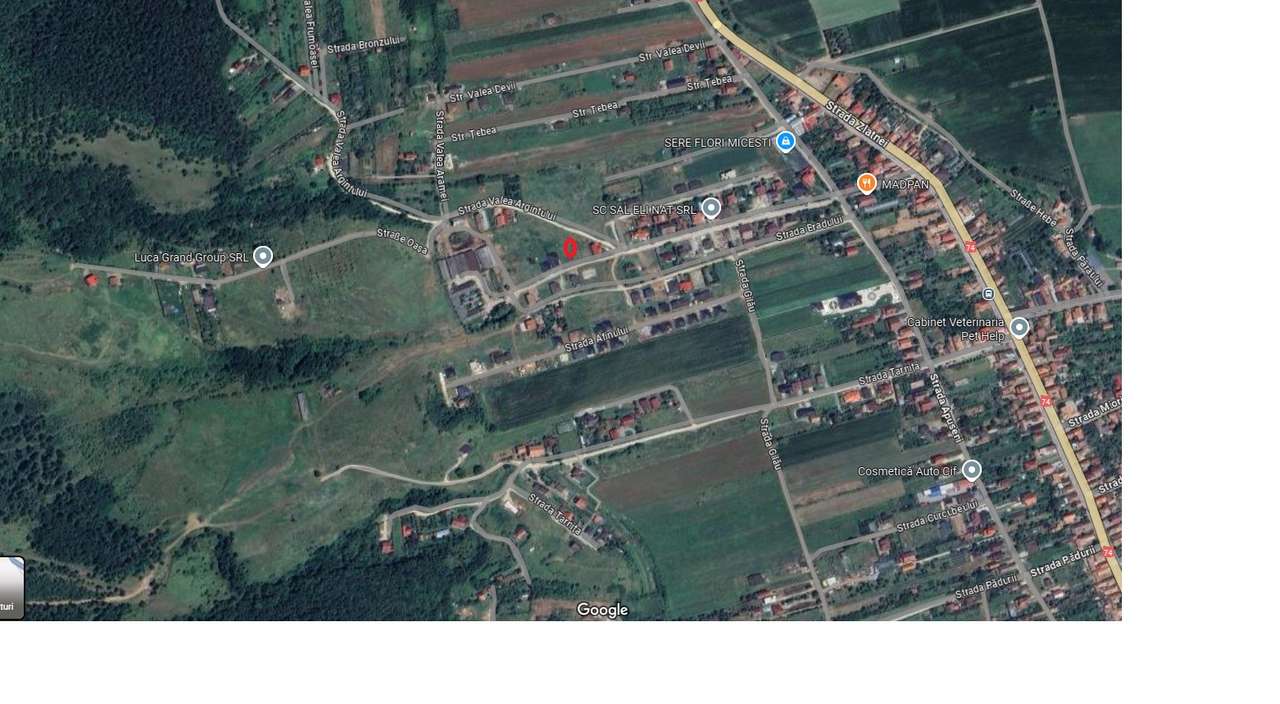 Tren intravilan in MICESTI - Imagine principală: 2/2