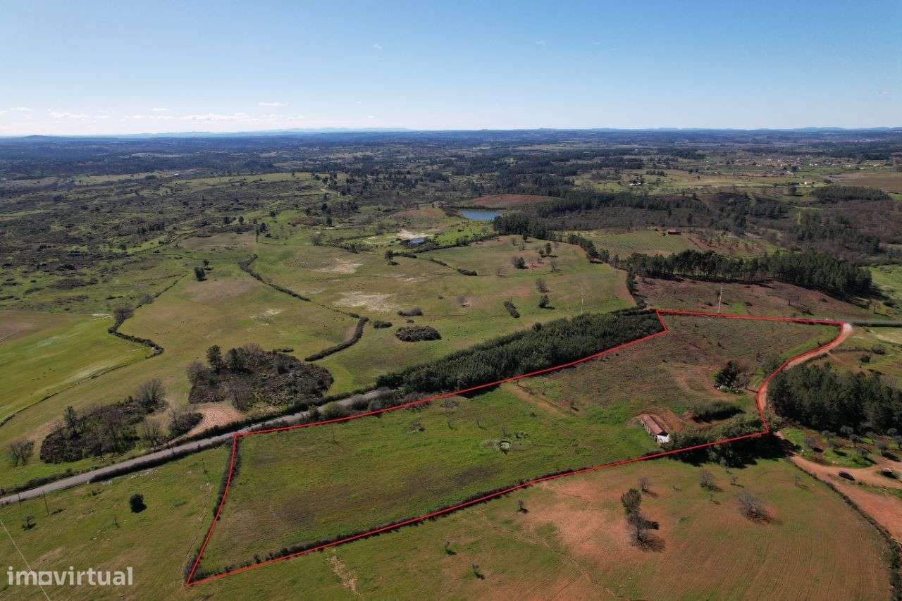 Quinta de 26000m2 com casa de granito de 85m2, poço e árvores - Grande imagem: 5/34